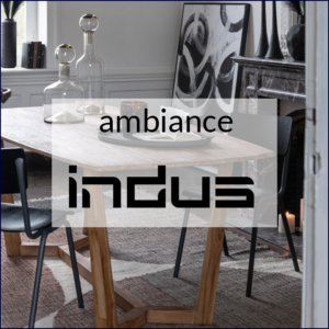 Anbiance Indus pour votre T2