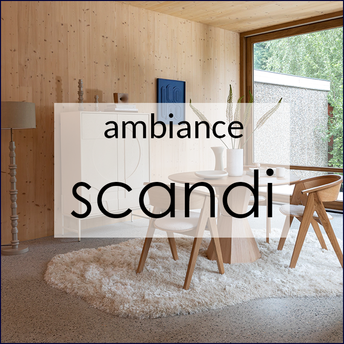 Créez un havre de paix scandinave dans votre appartement T3 avec notre collection Scandi.